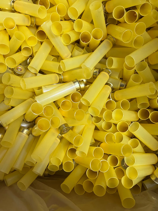 Bossoli cal 20 traslucidi