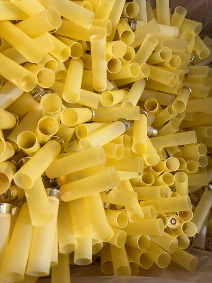 Bossoli cal 20 traslucidi