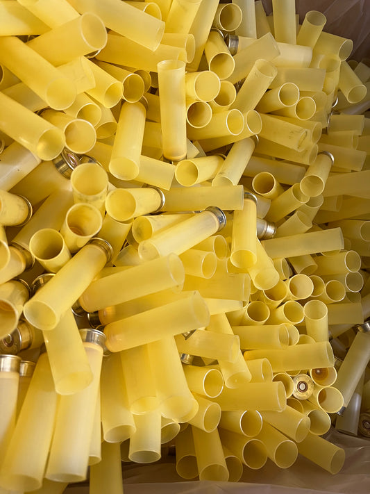 Bossoli cal 20 traslucidi